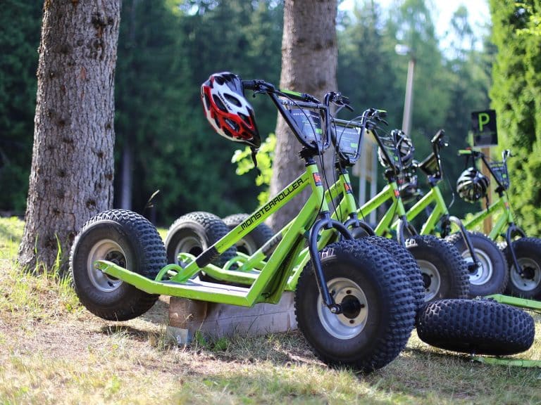 Teambuilding in Oberwiesenthal auf dem Monsterroller