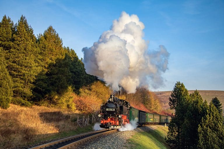 Bimmelbahnwanderung als Firmenausflug