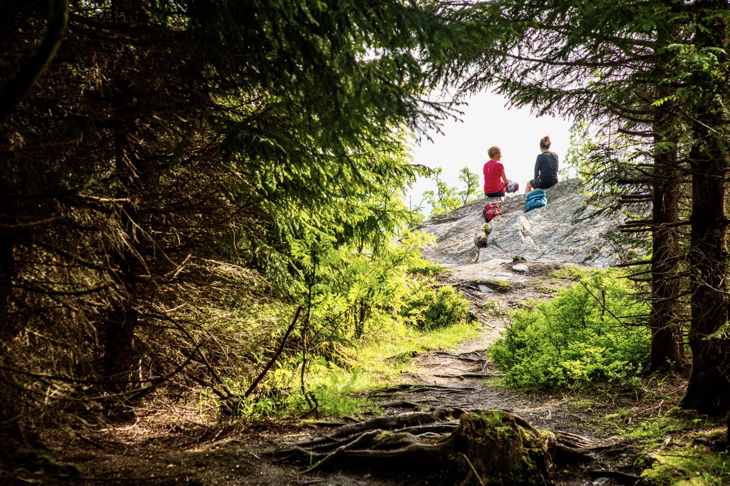 wandern erzgebirge